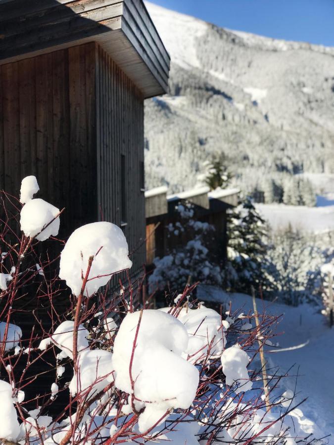 Chalet Sternwarte 上陶恩 外观 照片