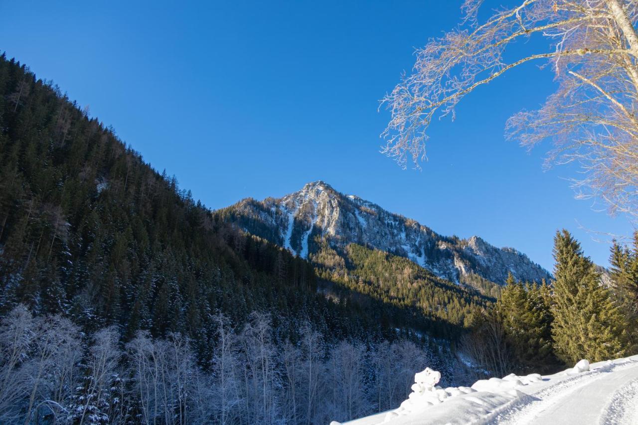 Chalet Sternwarte 上陶恩 外观 照片